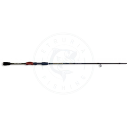 Lineaeffe Stoke Spinning