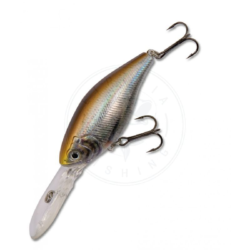 Nomura Jas Crank Reddy