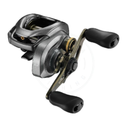 Shimano Mulinello Curado DC