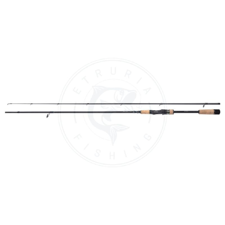 Shimano Canna Stradic Spinning