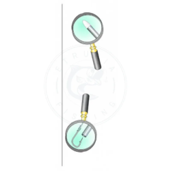 Stonfo Ago da pesca White Head