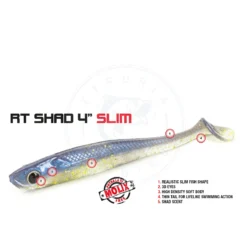 Molix Esca morbida RT Shad Slim 101 mm