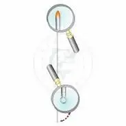 Stonfo Ago da pesca Bibi Red Head